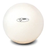 Fitball Body Therapy Ball For Yoga, Pilates, Barre, Gyms And Rehab - 6" Inter.... Fixed Price $25.98.