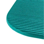 Mils Airex Fitline Non-slip Fitness Mat 56". Fixed Price $91.97.
