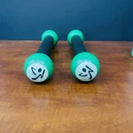Zumba Fitness Hand Held Weights, 1 Lb Each, Set Of 2, Maracas Sound. Fixed Price $14.00.
