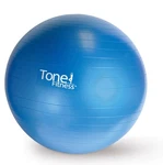 Tone Fitness Stability Ball, Exercise Ball For Core Training & Workouts. Fixed Price $21.79.