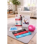 Reebok Resistance Bands 3-pack + Gaiam Mini Ab Ball Core Workout Fitness Bundle. Fixed Price $24.99.