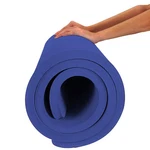 Hatha Yoga 4/5 Inch Tpe Mat Fitness & Exercise 32wx72lx25mm, Blue. Fixed Price $124.28.