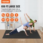 Exercise Mat, Pilate & Floor Workout (8x6ft). Fixed Price $139.26.