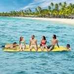 Ctsc Floating Mat - Lily Pad Water 15 X 5 Ft Blue/green. Fixed Price $431.27.