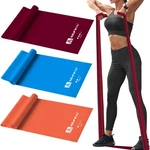 A Azurelife Resistance Bands,professional Long Non-latex Elastic Stretch Band.... Fixed Price $15.69.