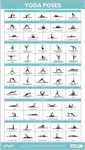 Vive Yoga Poses 17x29.75 Light Plastic Instructional Guide Chart Exercise Aid. Fixed Price $8.99.
