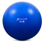 Prosourcefit Weighted Toning Exercise Balls For Pilates, Yoga, Strength.... Fixed Price $15.99.