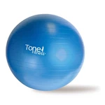 Tone Fitness Stability Ball/exercise Ball Exercise Equipment. Fixed Price $22.20.