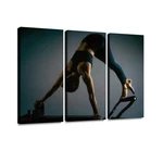 Belisiis Young Girl Doing Pilates Exercises With A Reformer Bed Beautiful Sli.... Fixed Price $58.50.