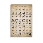 Amzposterln Vintage Dog Poster Breeds Of Dogs Knowledge Education Canvas Art .... Fixed Price $32.09.