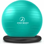 Probody Pilates Yoga Ball Chair Exercise With Base For Home Office Si. Fixed Price $69.00.