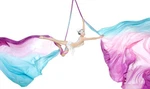 F.life Aerial Silks 13 Yards Hardware Kit Acrobatics Dance Double Point Yoga .... Fixed Price $178.96.