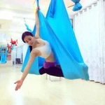 Us Yoga Swing Hammock Trapeze Sling Aerial Silks Anti-gravity Inversion Kit. Fixed Price $23.09.